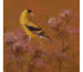 "Goldfinch in Thistle" by Randena Walsh